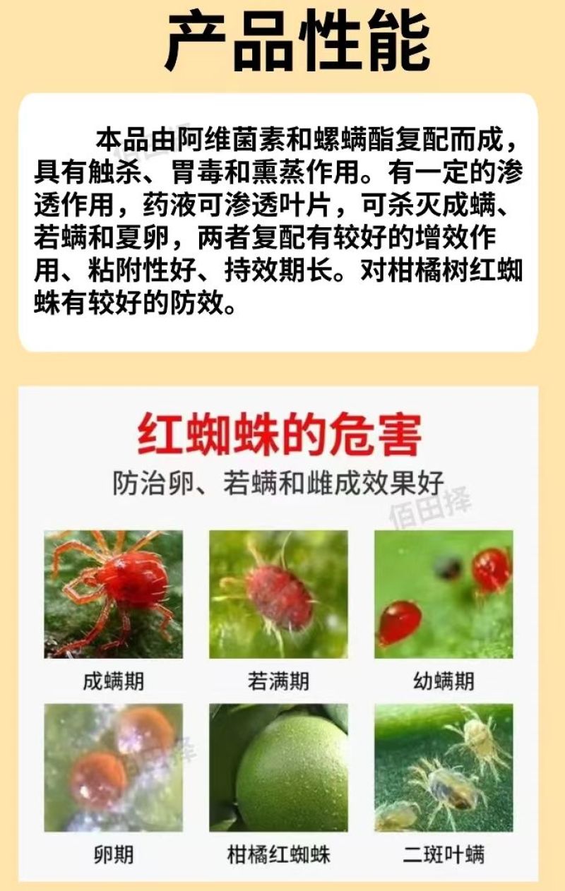 红蜘蛛杀虫剂杀螨剂专用药阿维螺螨酯柑橘果树花卉红白蜘蛛