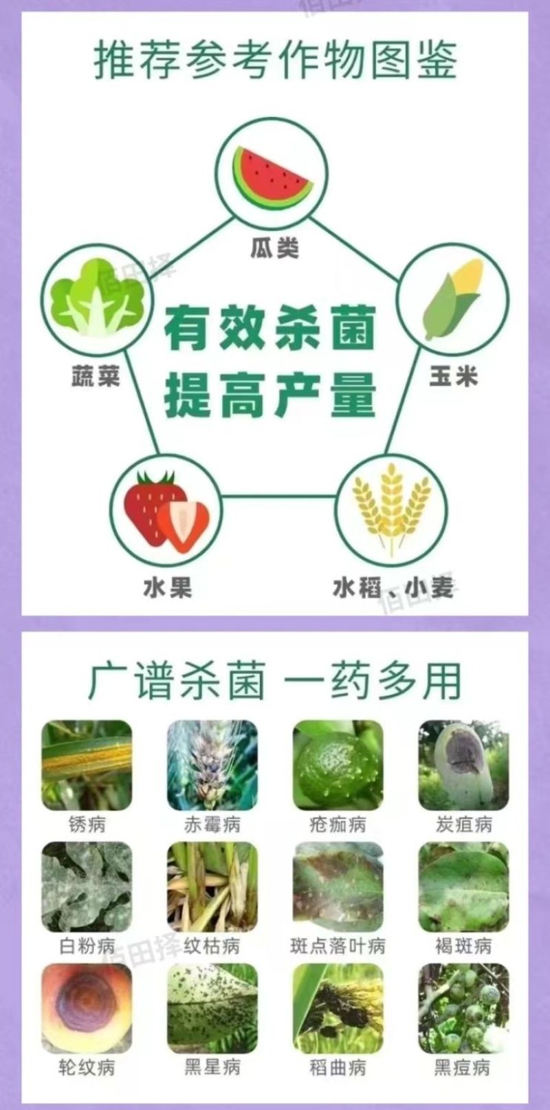 戊唑醇杀菌剂白粉病叶斑病黑星病真菌病害