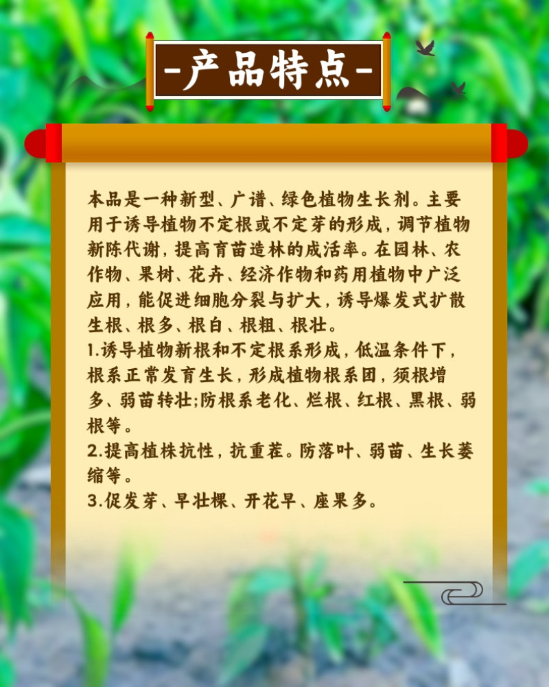 植物通用生根粉生根壮苗延长根系提高成活率通用生根剂