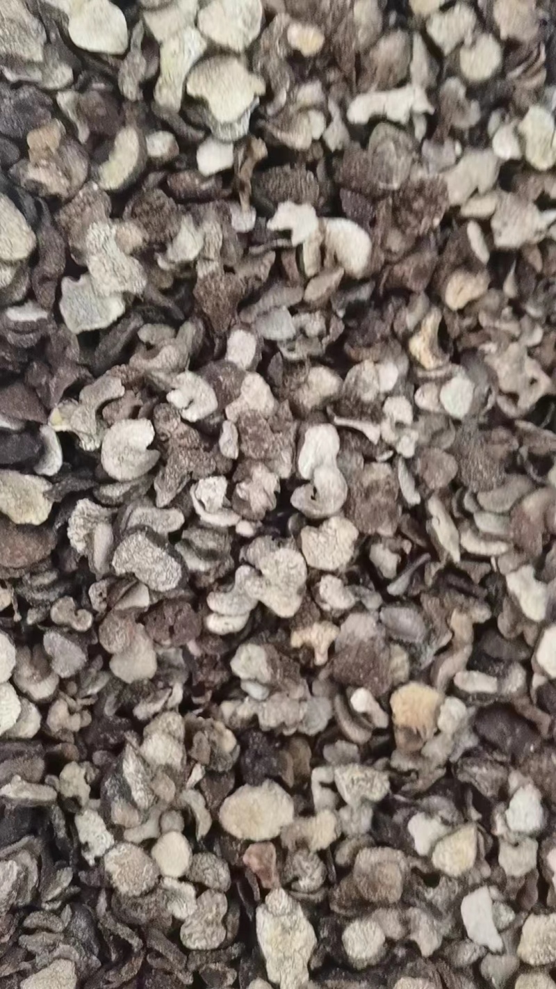 烘干黑松露片