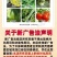 80%乙蒜素杀菌剂苹果树褐斑病专用清园乙酸索大蒜油正品农