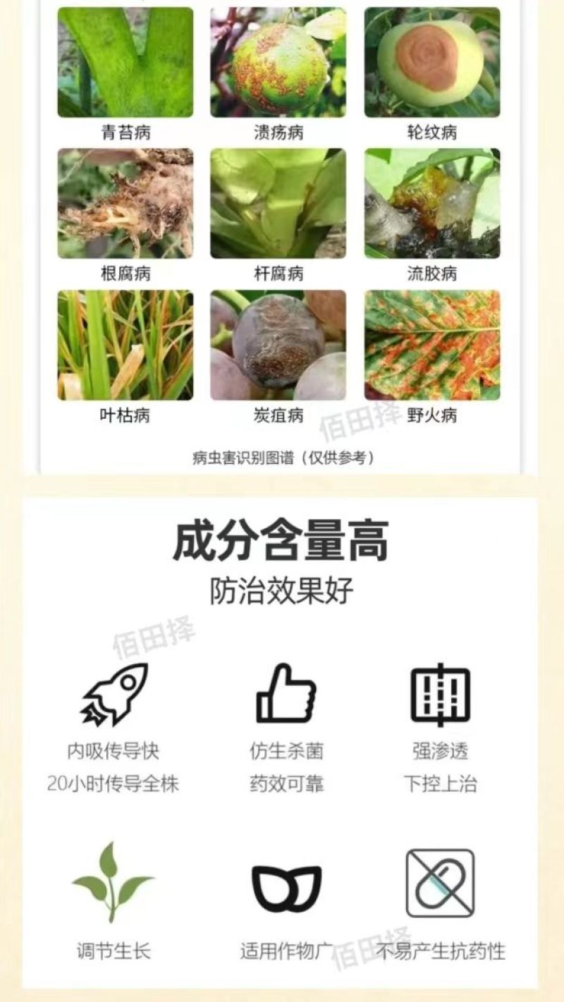 80%乙蒜素杀菌剂苹果树褐斑病专用清园乙酸索大蒜油正品农