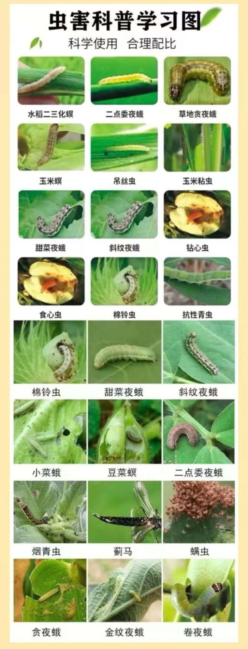 甲氨基阿维菌素苯甲酸盐甜菜夜蛾蔬菜瓜果花卉青虫农药杀虫剂