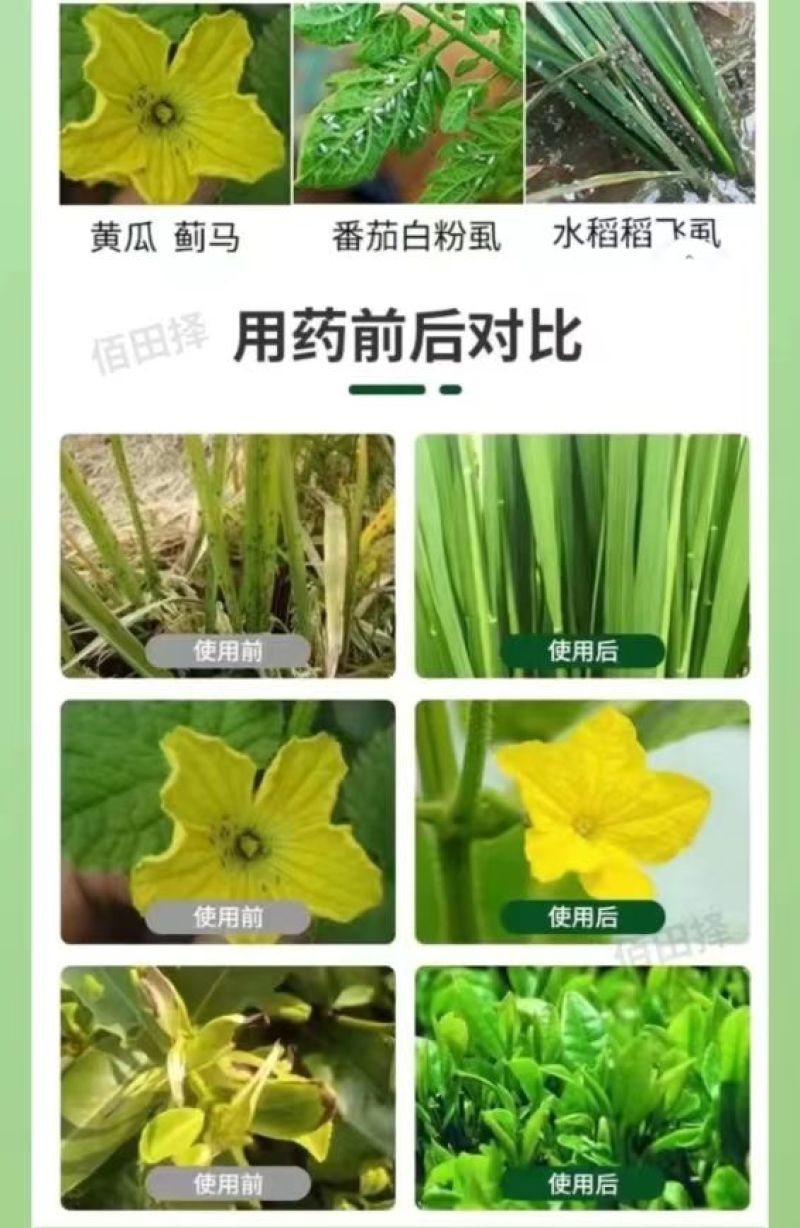 1%联苯噻虫胺蓟马木虱蚜虫粉虱黄条跳甲杀虫剂农药