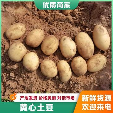 【手选精品土豆】电商出口商超薯片厂代发全国2-4