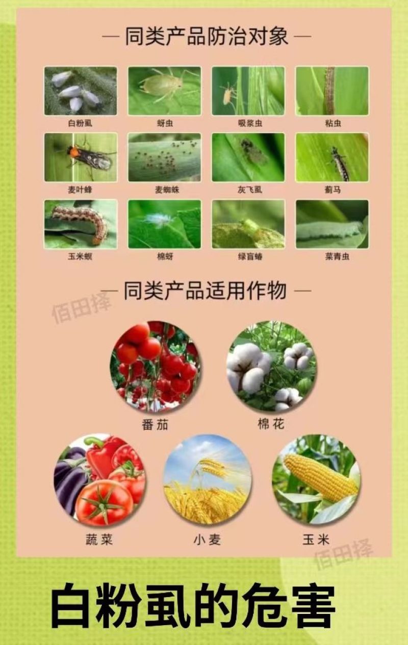 6%联菊啶虫脒飞虱蚜虫蓟马小黑飞粉虱专用花卉果树蔬菜农药