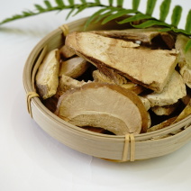 冻干美味牛肝菌