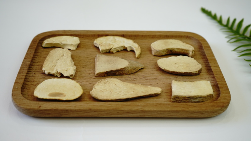 冻干美味牛肝菌