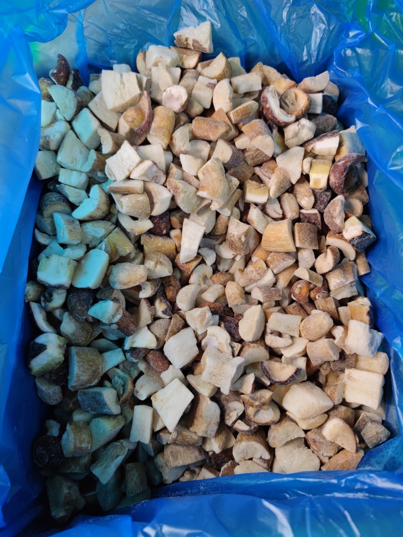 冷冻美味牛肝菌
