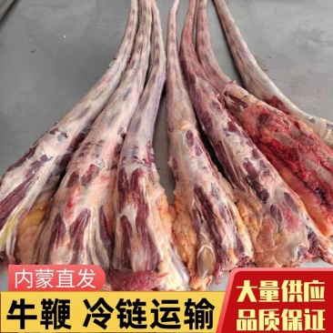 【牛尾】内蒙直发现杀现发冷链直发欢迎咨询