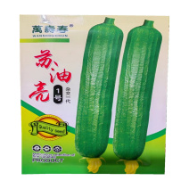 苏油亮1号丝瓜种子油绿肉丝瓜种子10克早熟