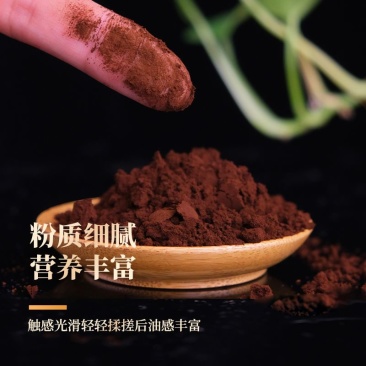 【孢子粉无添加】灵芝孢子粉孢子粉非破壁