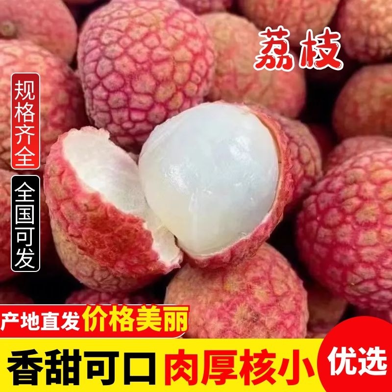 海南荔枝，大量上市，欢迎全国客商来园批发订购！