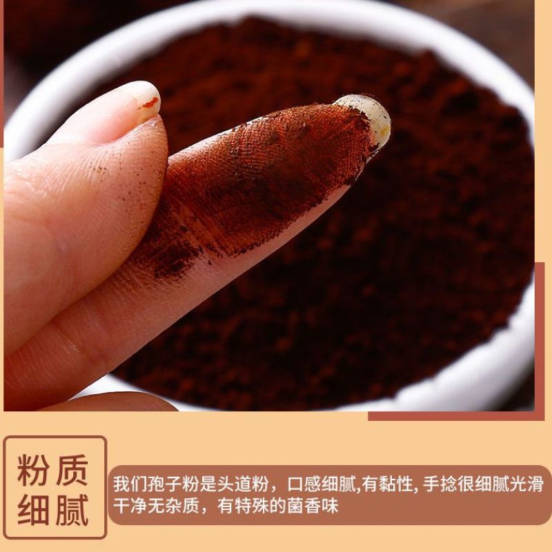 灵芝孢子粉长白山袍子粉东北特产孢子粉
