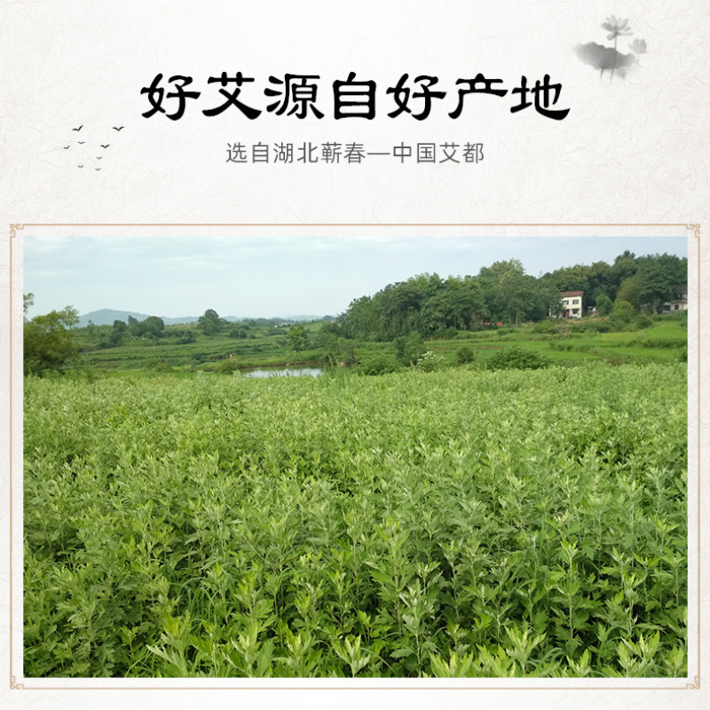 湖北蕲艾绒家用纯蕲艾草绒坐灸悬灸散装陈艾绒