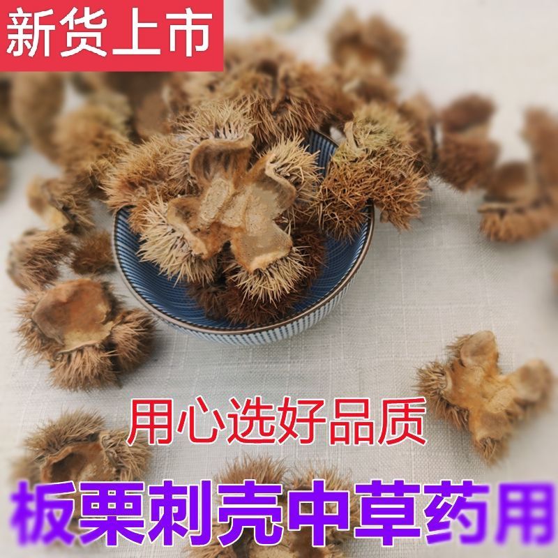 天然野生板栗刺球便宜整个毛球中药栗新鲜干板