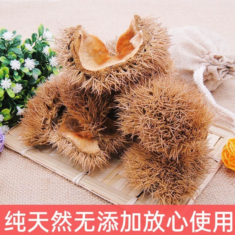 天然野生板栗刺球便宜整个毛球中药栗新鲜干板
