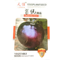 紫圆茄子种子中晚熟果实圆形黑油亮肉质白细腻大田品