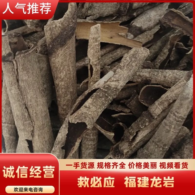 【优选】中药材救必应福建龙岩诚信经营批发零售大量货源