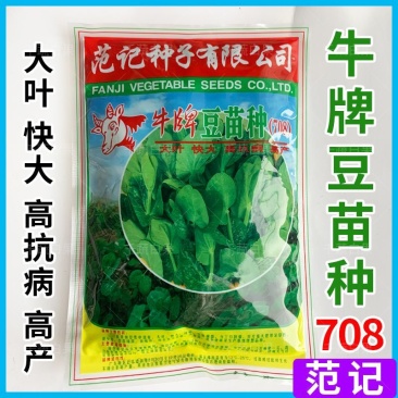 牛牌豆苗种子,无须豌豆尖种子,叶片宽大肥厚,抗病,基地用