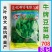 牛牌豆苗种子,无须豌豆尖种子,叶片宽大肥厚,抗病,基地用
