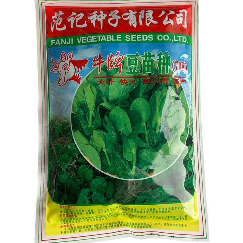 牛牌豆苗种子，无须豌豆尖种子，叶片宽大肥厚，抗病，基地用