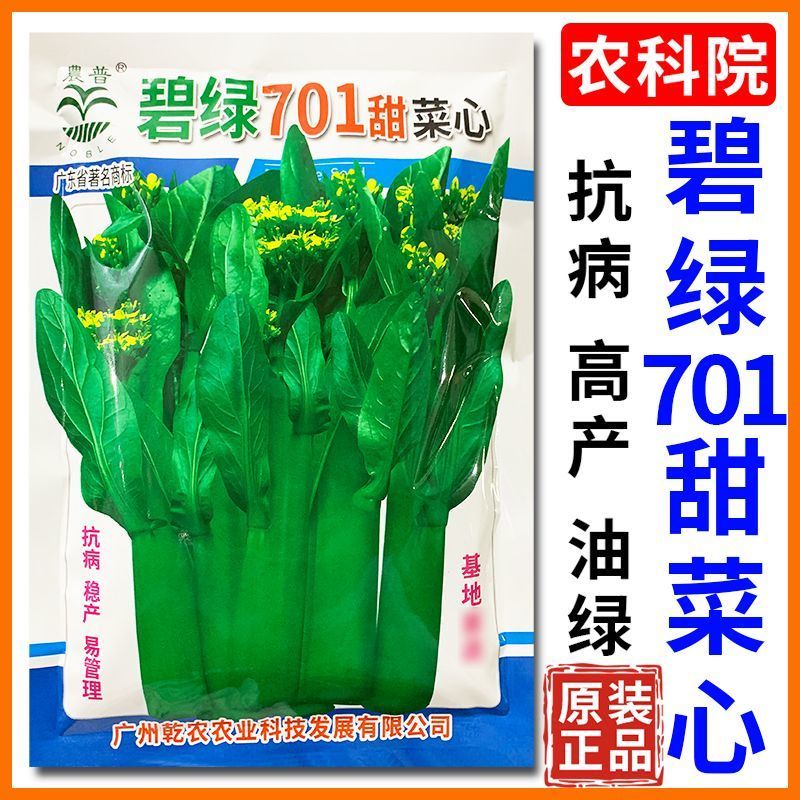 碧绿701甜菜心种子，中熟抗病，尖叶油绿，口感脆甜