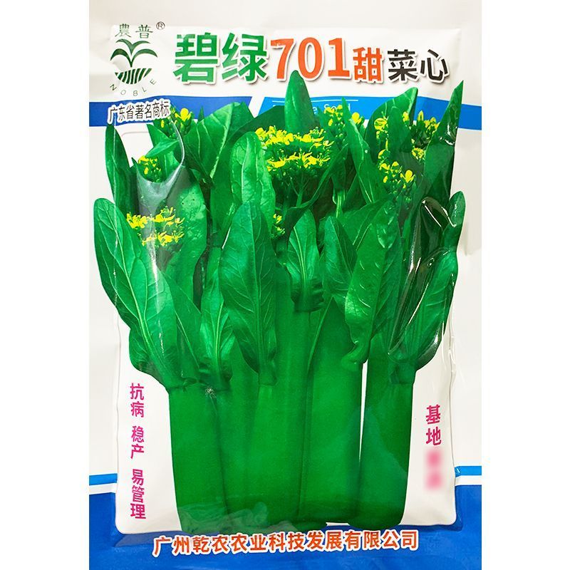 碧绿701甜菜心种子，中熟抗病，尖叶油绿，口感脆甜