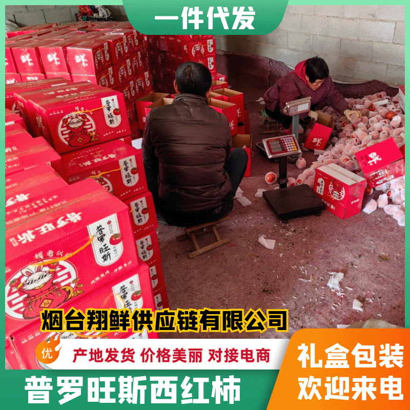 【实力热卖】普罗旺斯西红柿，礼盒装可一件代发团购批发
