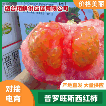 【大吨位供应】普罗旺斯西红柿，4.5斤装，社区团购