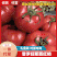 【热卖中】正宗海阳普罗旺斯西红柿，团购，品质有保障