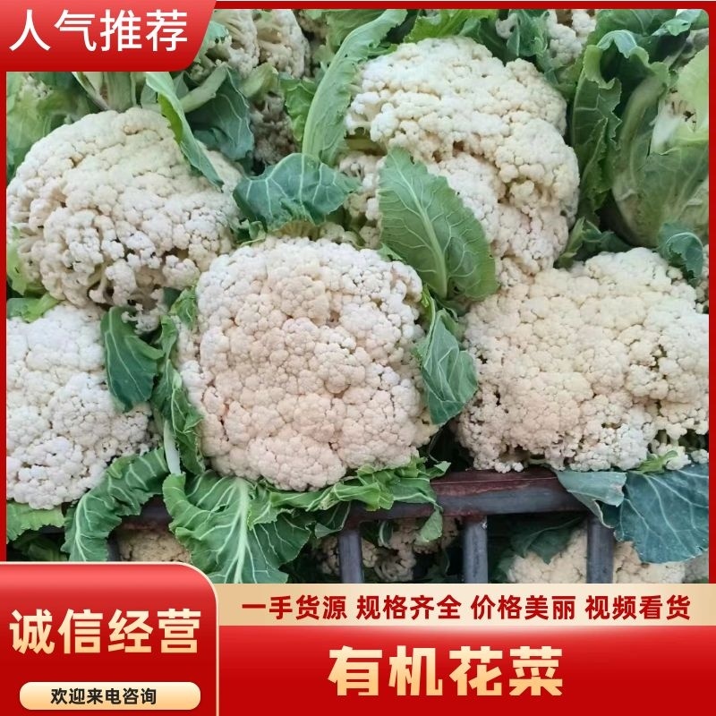 河南花菜有机花菜产地直发一手货源电商市场商超货