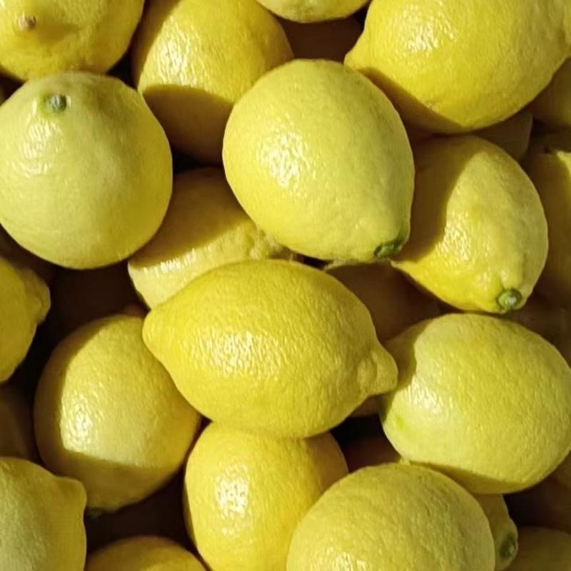 精品安岳柠檬基地直发一手货源量大从优欢迎咨询