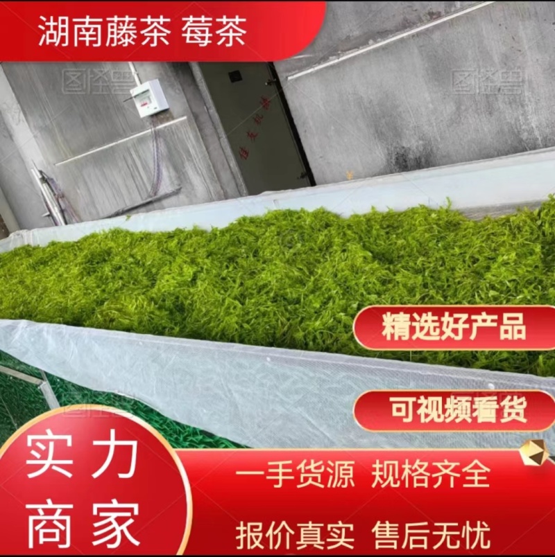 湖南藤茶莓茶产地直发货源充足茶香浓郁欢迎订购