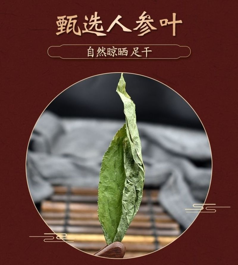 人参叶中药材人参叶长白山人参叶茶叶子无硫新