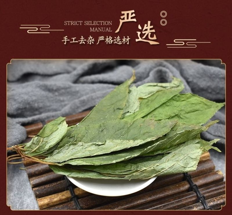 人参叶中药材人参叶长白山人参叶茶叶子无硫新
