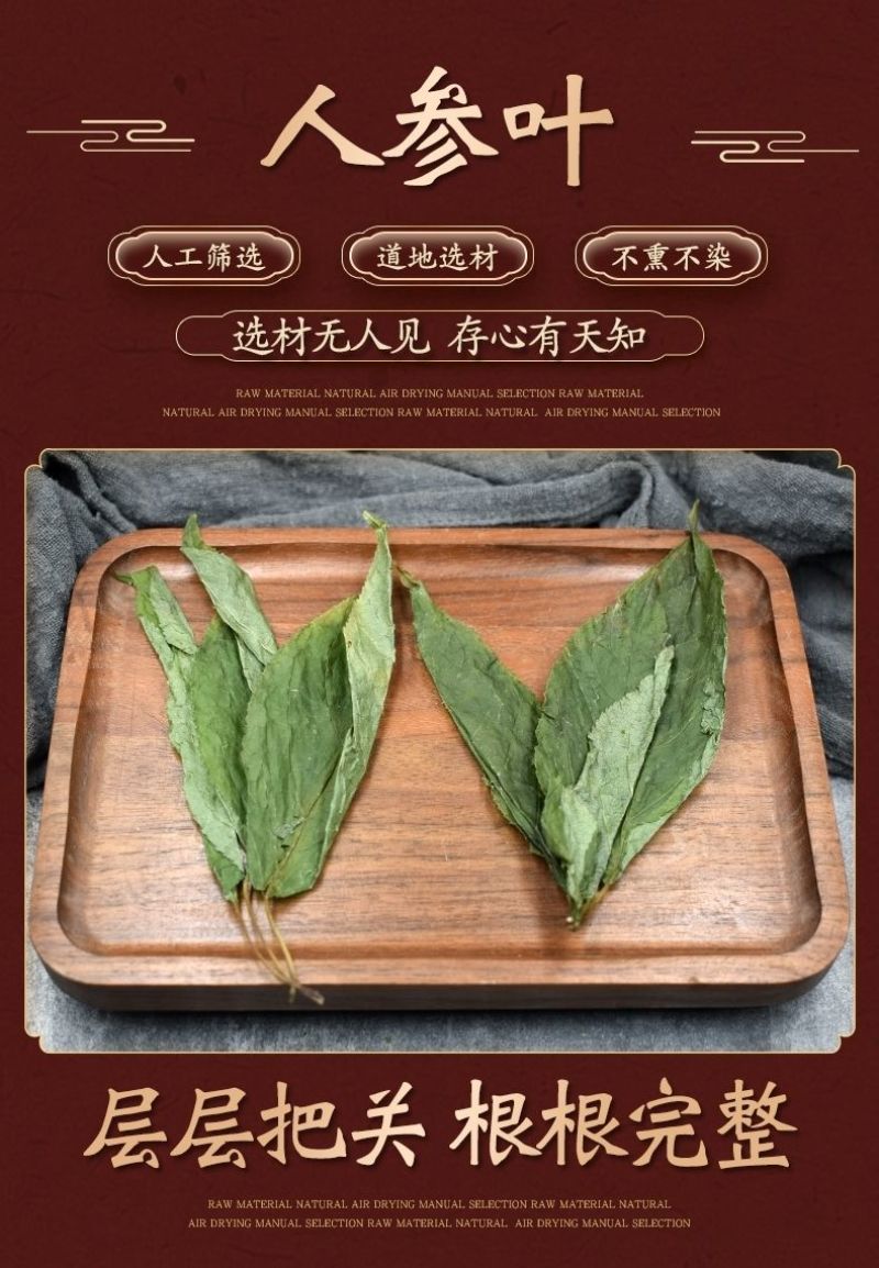 人参叶中药材人参叶长白山人参叶茶叶子无硫新