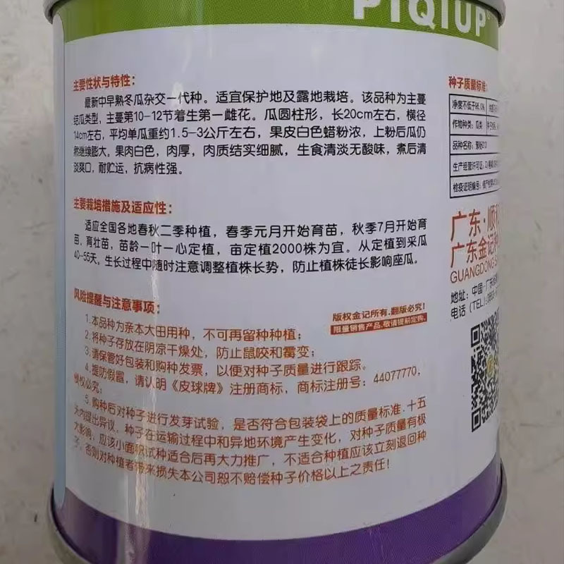 杂交粉皮小冬瓜种子豫粉213圆柱型迷你水果白粉皮小冬瓜种