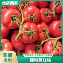 西红柿江苏精品西红柿硬粉西红柿代收代发质优价廉