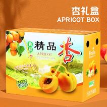 5斤装红杏黄杏礼盒包装箱10斤甜杏礼品盒手提纸箱