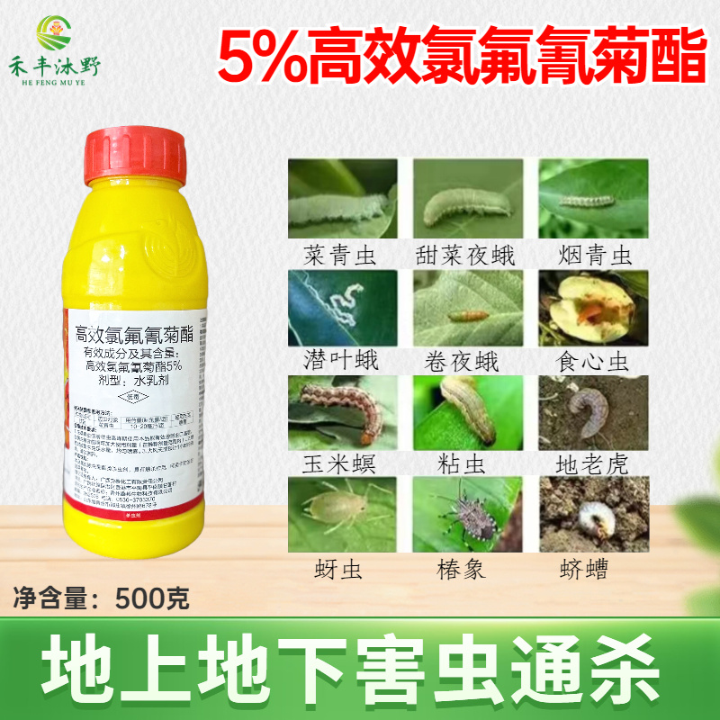 5%高效氯氟氰菊酯广谱性杀虫剂菜青虫食心虫等地上地下