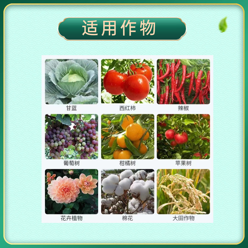 80%烯啶吡蚜酮水稻果蔬蚜虫飞虱蓟马粉虱叶婵专用杀虫剂