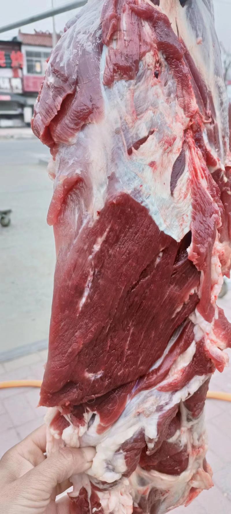 山东鲜牛肉品质保证产地直发可视频看货欢迎咨询