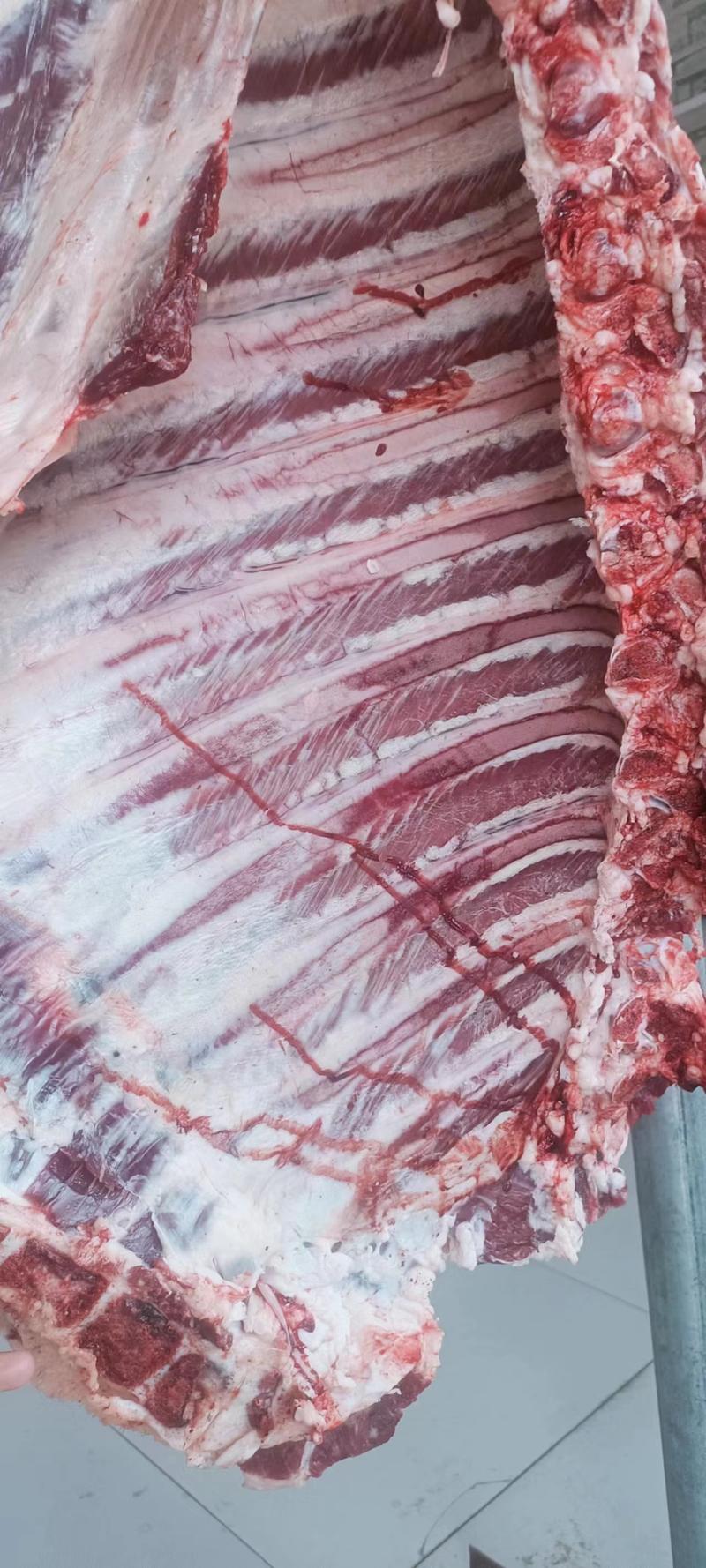 山东鲜牛肉品质保证产地直发可视频看货欢迎咨询
