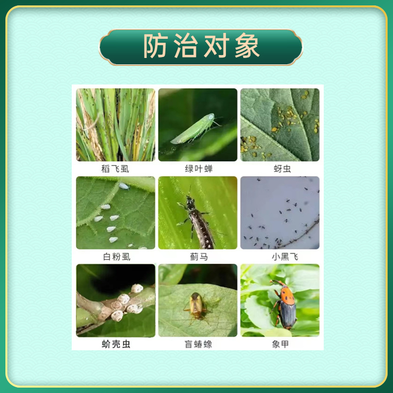 20%呋虫胺杀虫剂蚜虫飞虱蓟马白粉虱抗性小虫用药