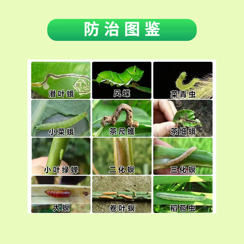 20%呋虫胺杀虫剂蚜虫飞虱蓟马白粉虱抗性小虫用药