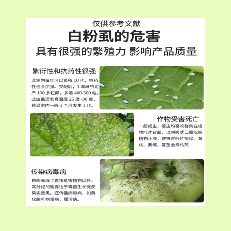 20%呋虫胺杀虫剂蚜虫飞虱蓟马白粉虱抗性小虫用药