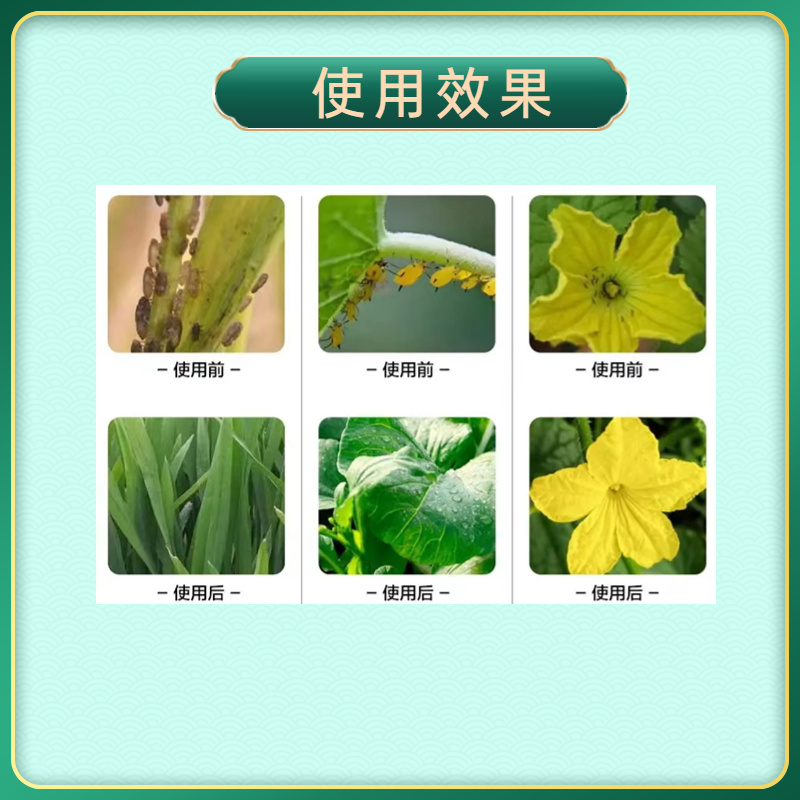 20%呋虫胺杀虫剂蚜虫飞虱蓟马白粉虱抗性小虫用药