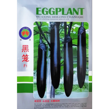 黑笼子长茄种子黑笼黑长茄籽早熟杂交种茄条黑亮光泽度强高产