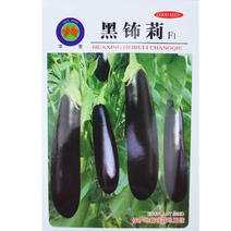 黑饰莉紫黑长茄种子中熟果长40厘米左右春秋栽培